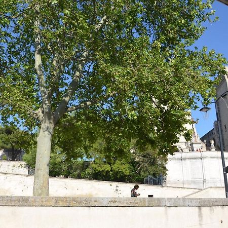 아비뇽 Face Au Palais Des Papes 아파트 외부 사진
